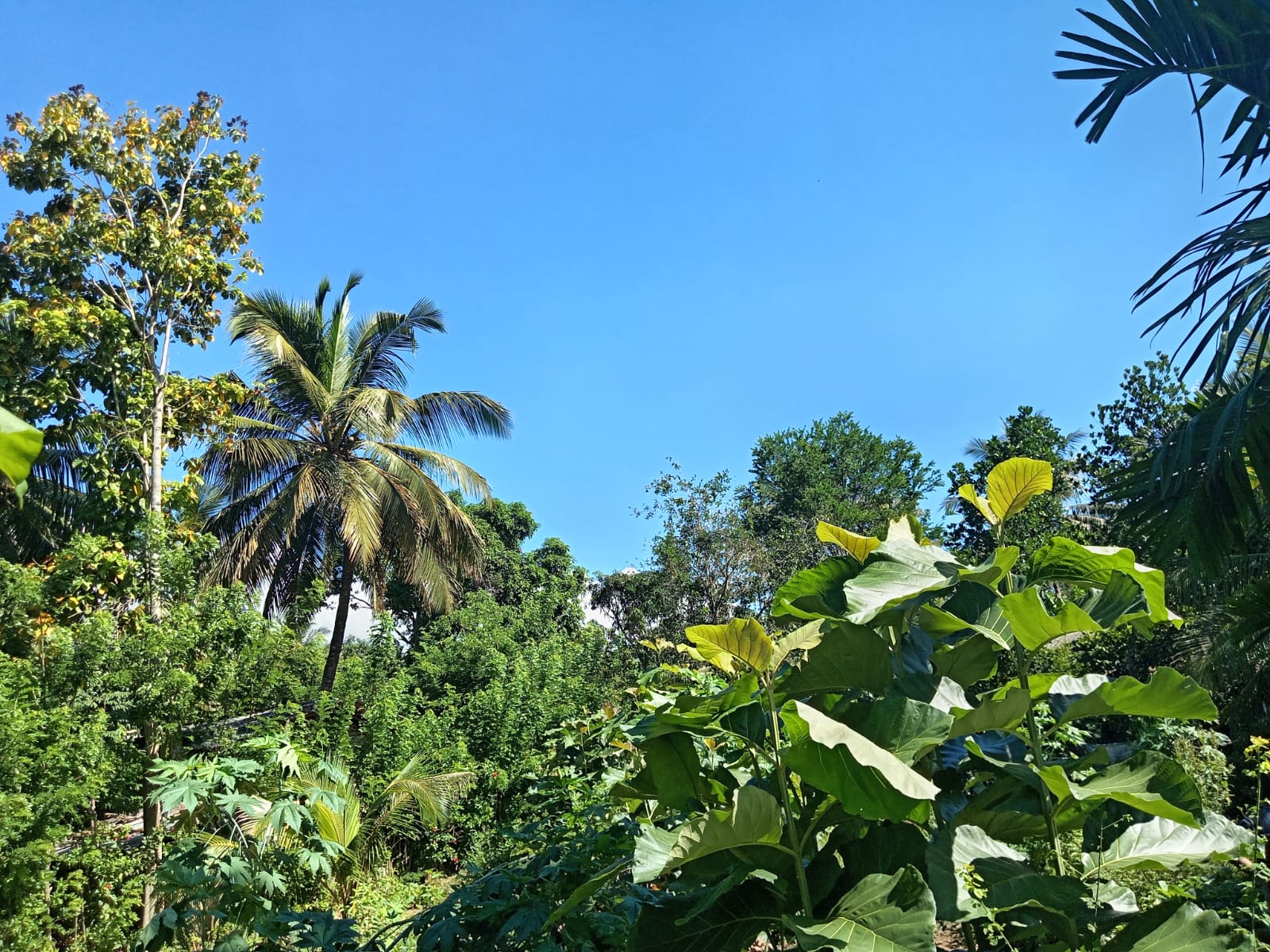 Land for Sale Wellawaya