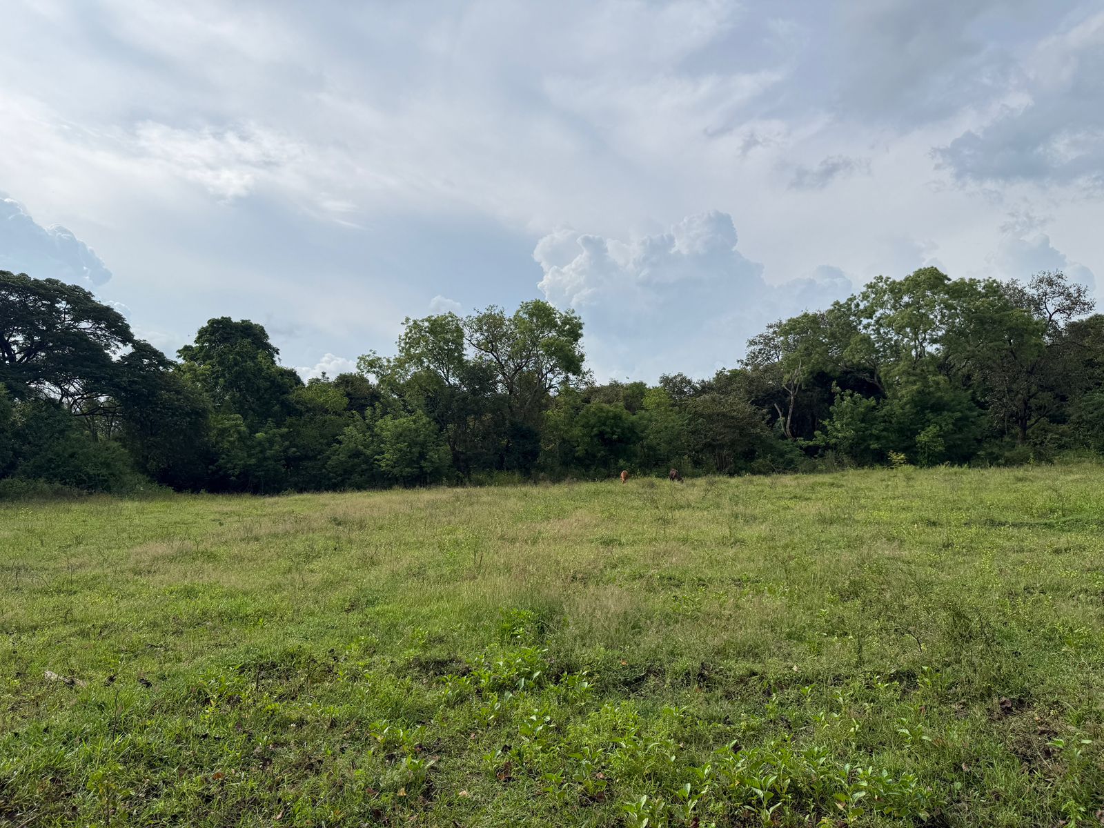 Land with House for Sale – Madatugama