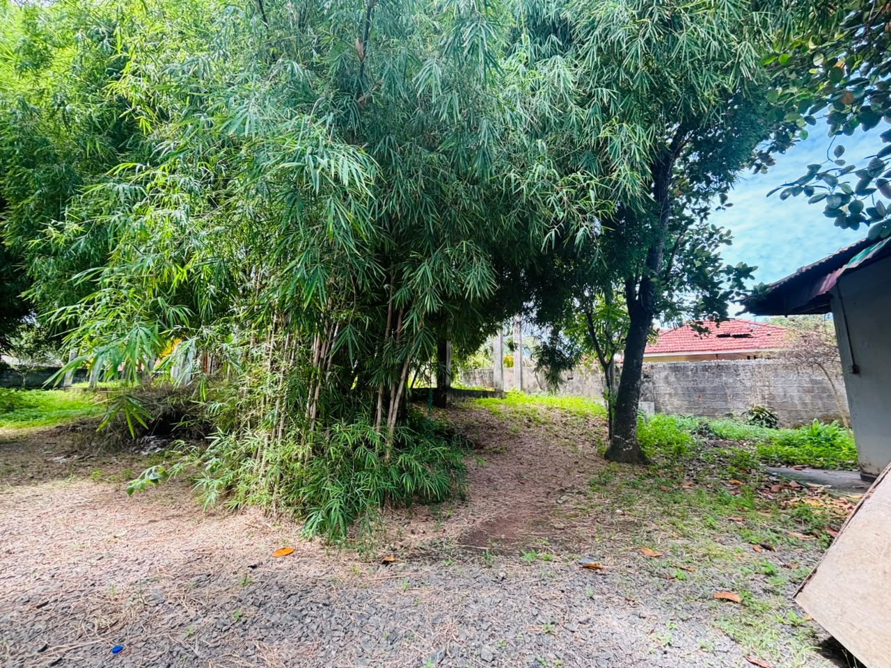 Land for Sale Near Mirissa Harbour