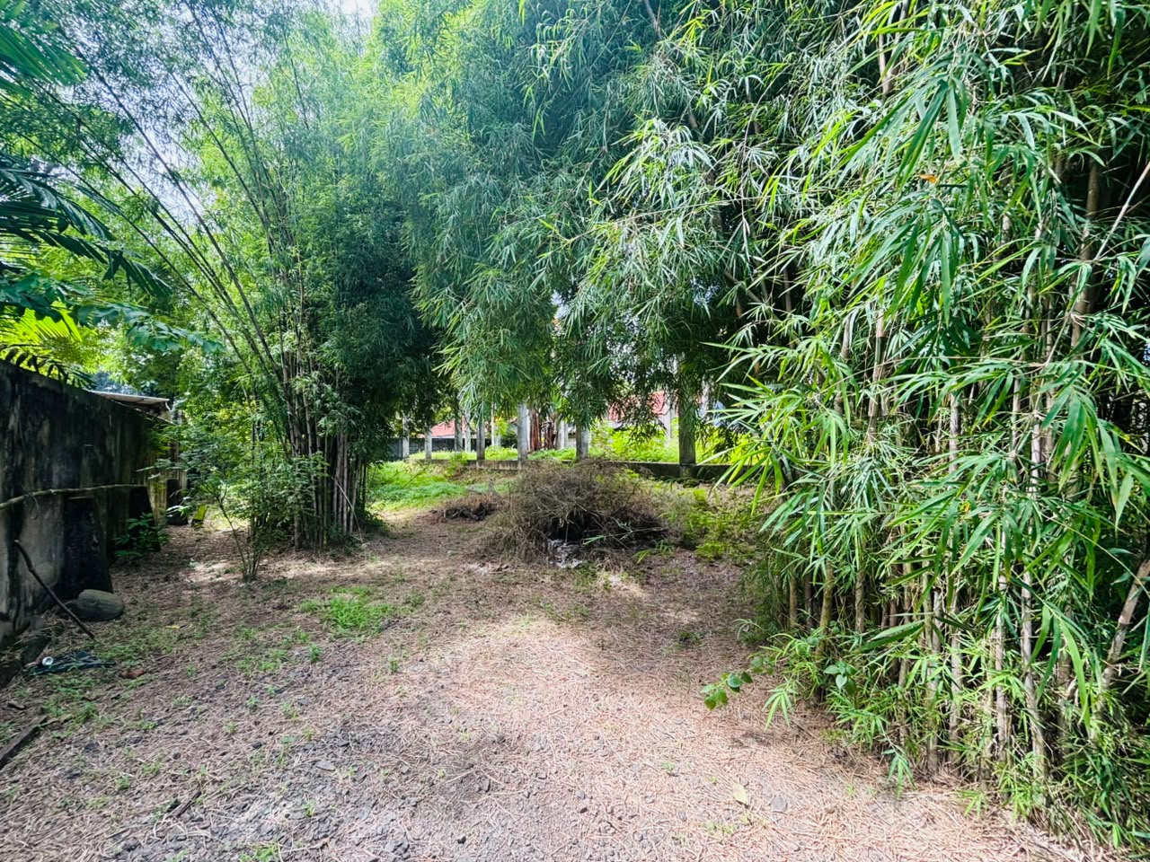 Land for Sale Near Mirissa Harbour