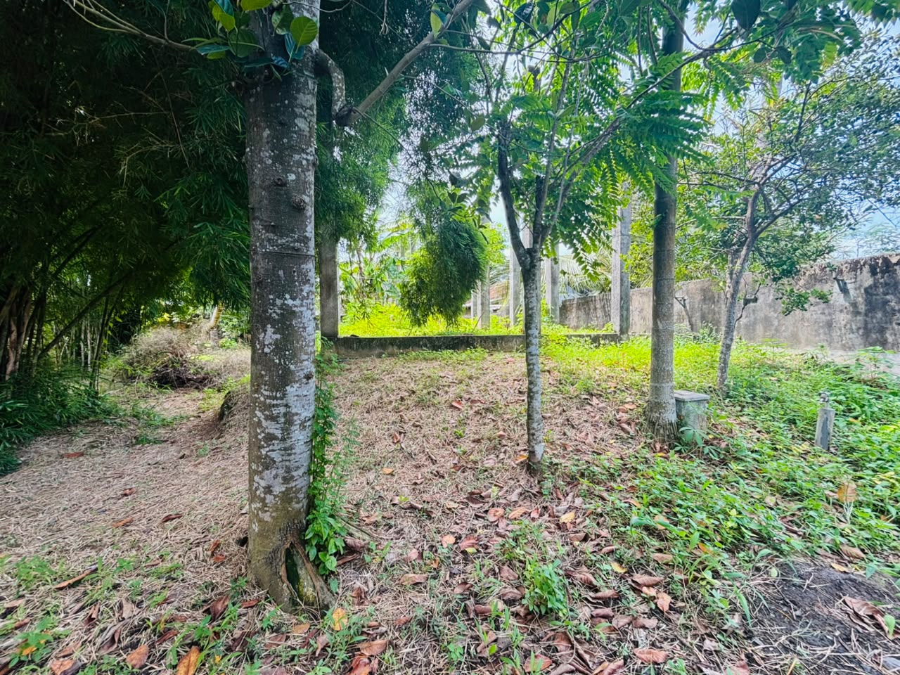 Land for Sale Near Mirissa Harbour