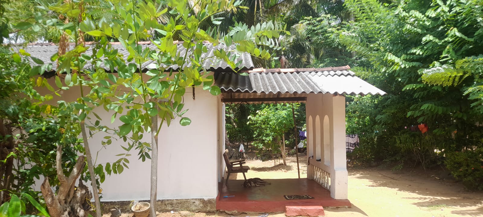 නිවස සහ ඉඩම – කන්තලේ