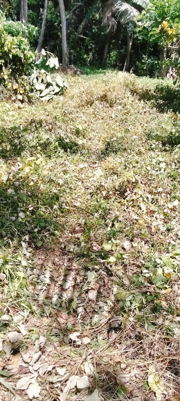 Bare Land for Sale – Uswatta