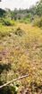 Bare Land for Sale – Uswatta