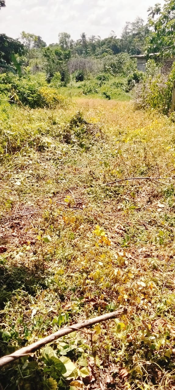 Bare Land for Sale – Uswatta