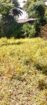Bare Land for Sale – Uswatta