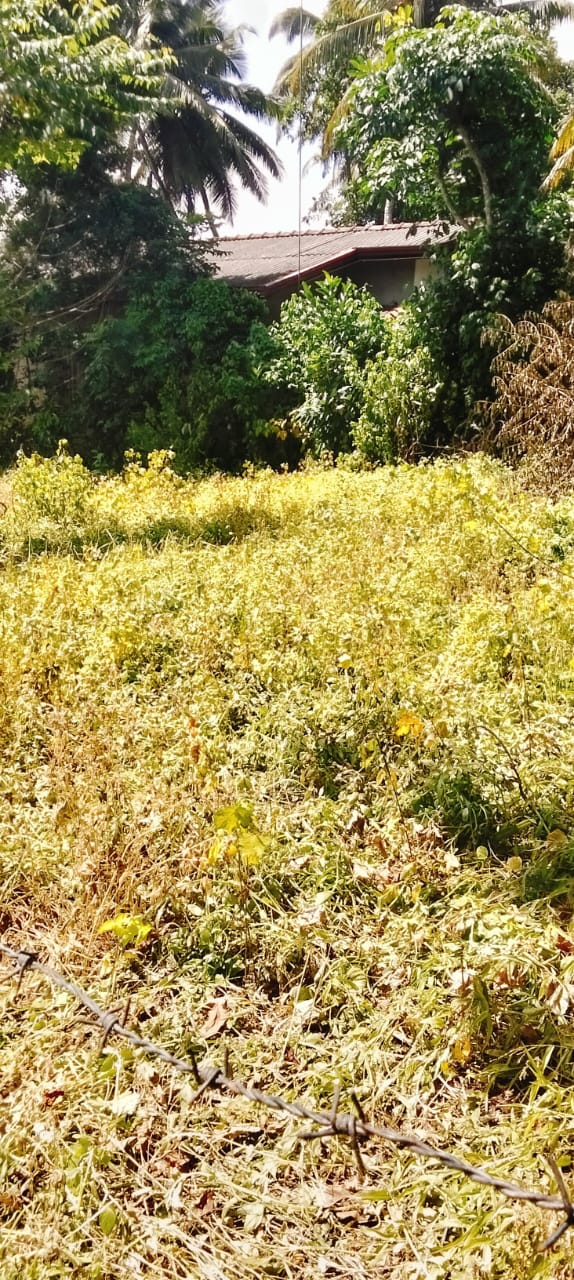 Bare Land for Sale – Uswatta