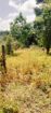 Bare Land for Sale – Uswatta