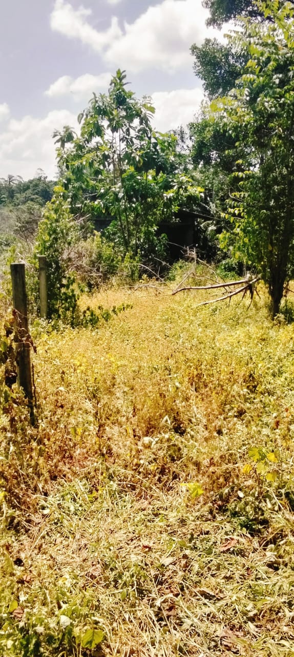 Bare Land for Sale – Uswatta