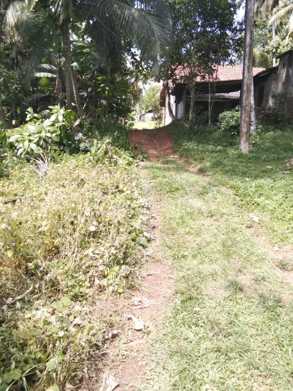 Bare Land for Sale – Uswatta