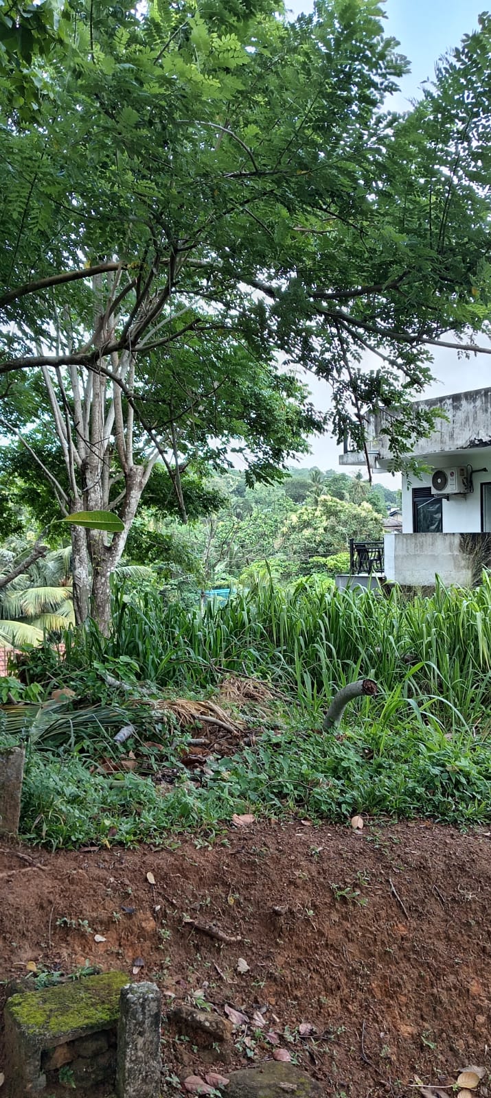 Land For Sale In Galle