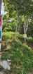 Land For Sale In Galle