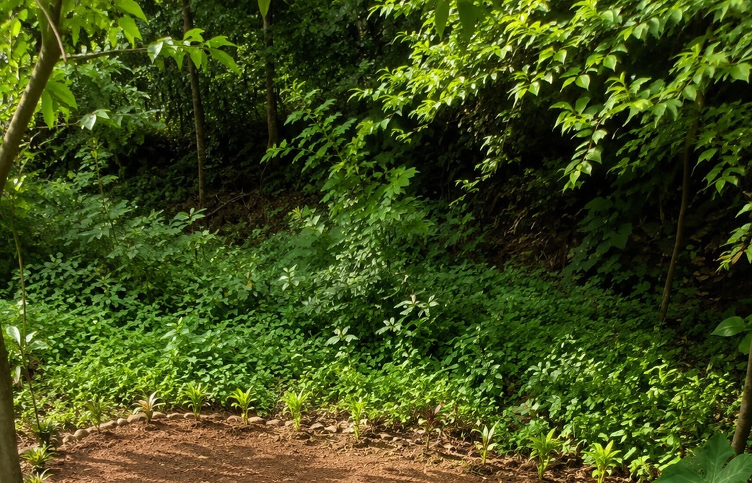 PRIME RESIDENTIAL LAND FOR SALE – GAMPAHA