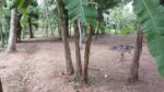 Land for Sale Yakkala