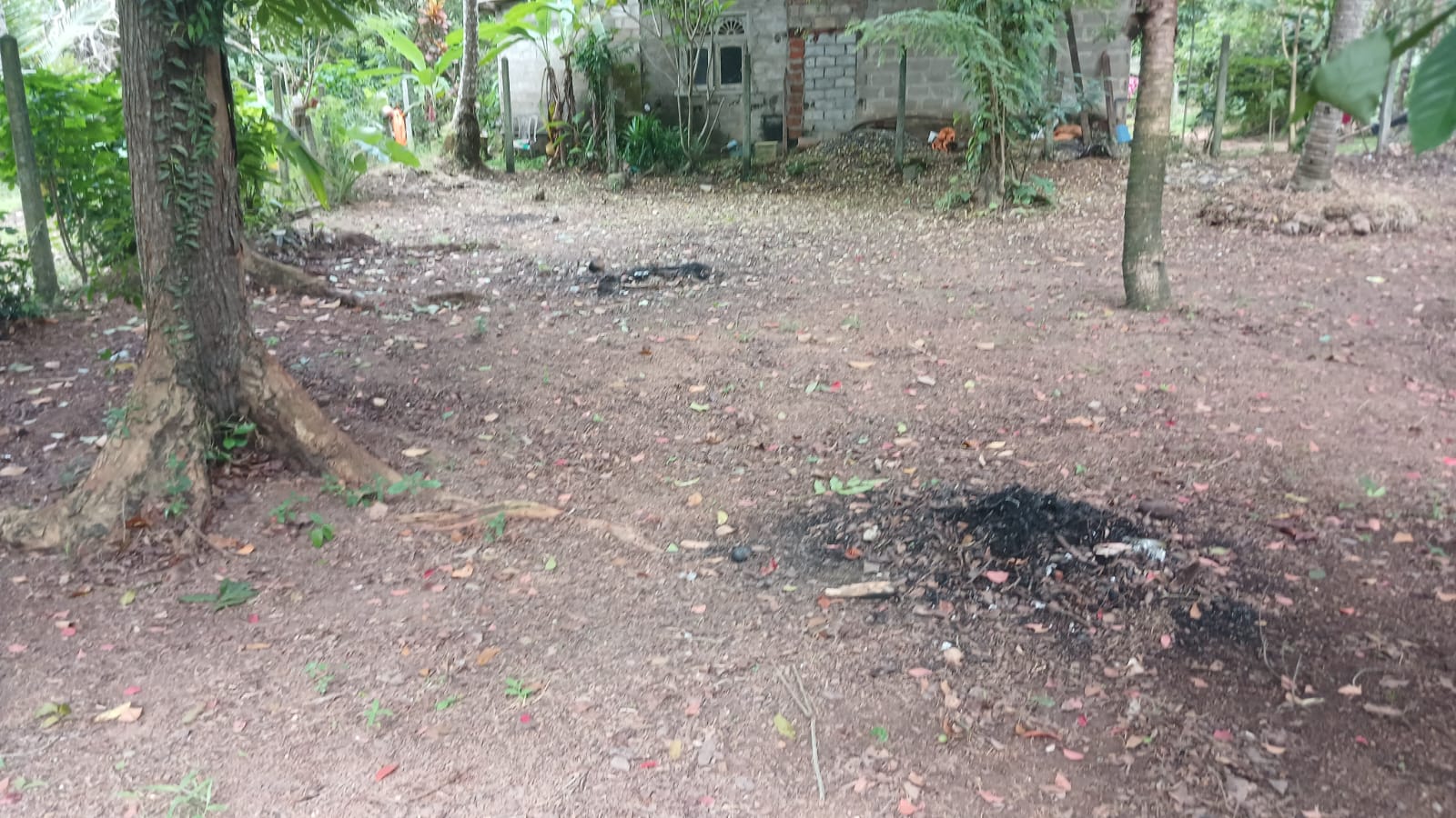 Land for Sale Yakkala