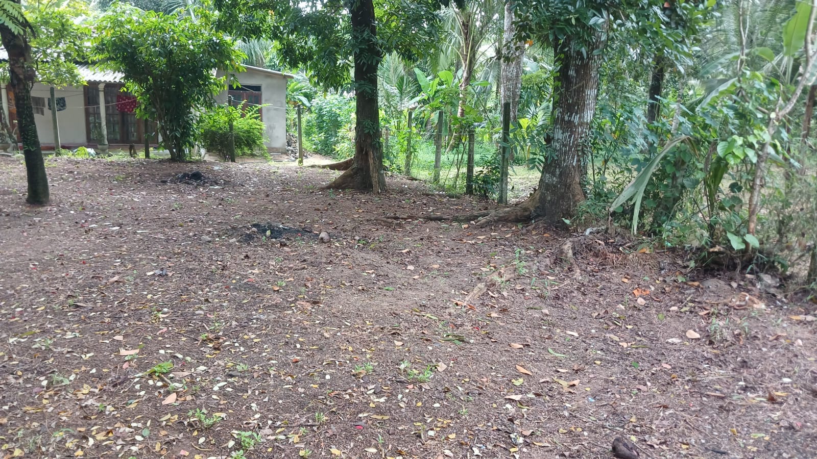 Land for Sale Yakkala
