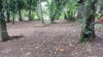 Land for Sale Yakkala