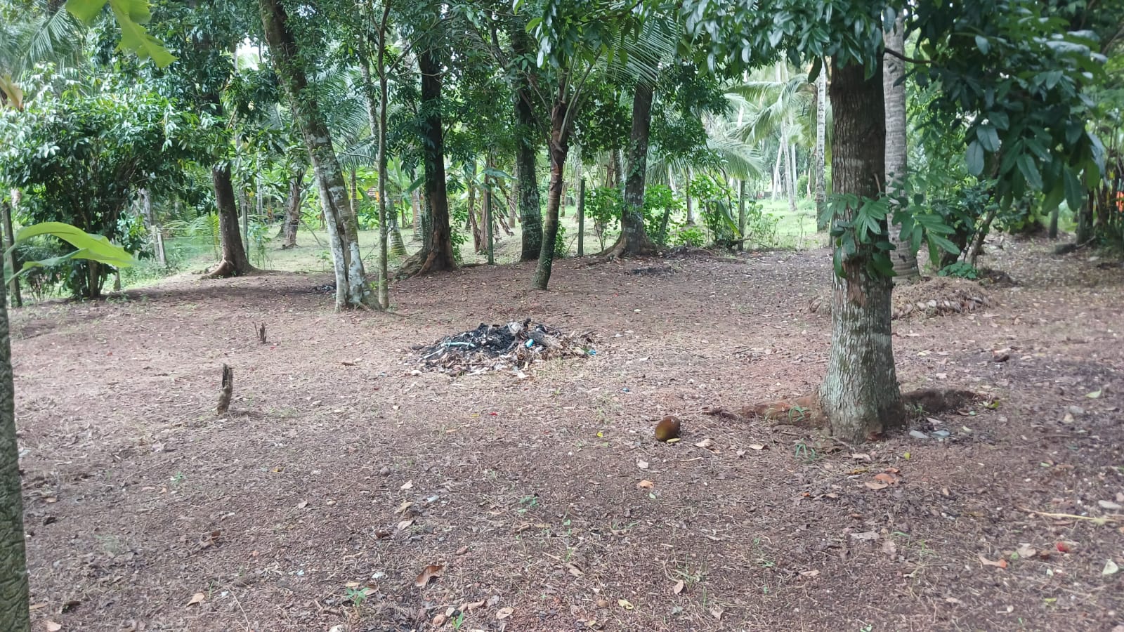 Land for Sale Yakkala