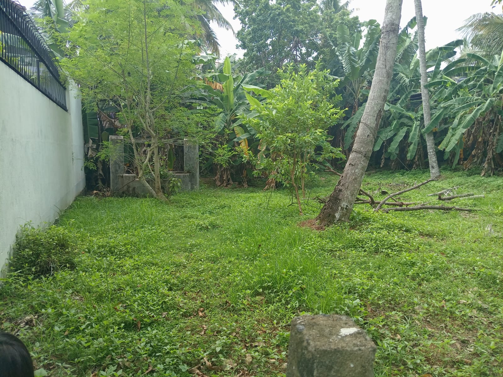 පර්චස් 15ක් වටිනා නේවාසික ඉඩමක් විකිනීමට