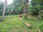 පර්චස් 15ක් වටිනා නේවාසික ඉඩමක් විකිනීමට