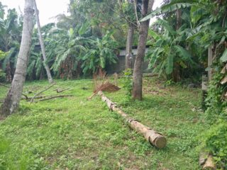 IMG-20260716-WA0037