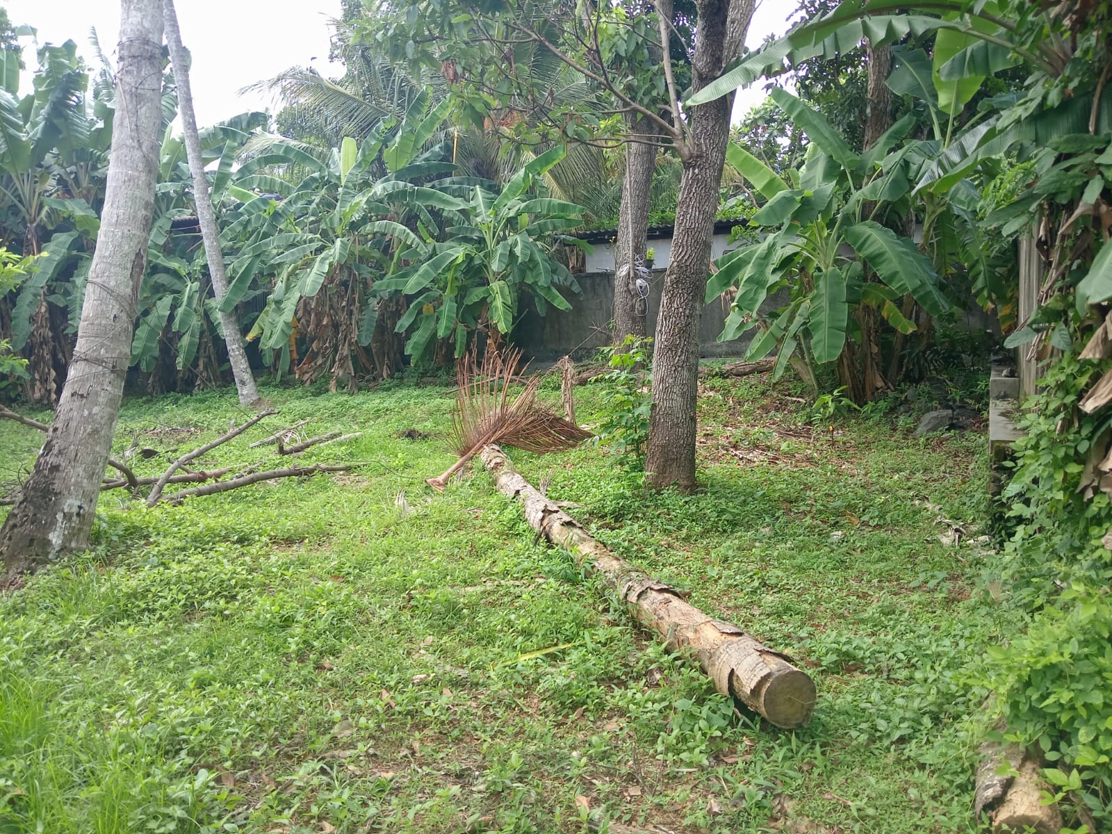 පර්චස් 15ක් වටිනා නේවාසික ඉඩමක් විකිනීමට