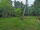 පර්චස් 15ක් වටිනා නේවාසික ඉඩමක් විකිනීමට
