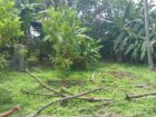 පර්චස් 15ක් වටිනා නේවාසික ඉඩමක් විකිනීමට