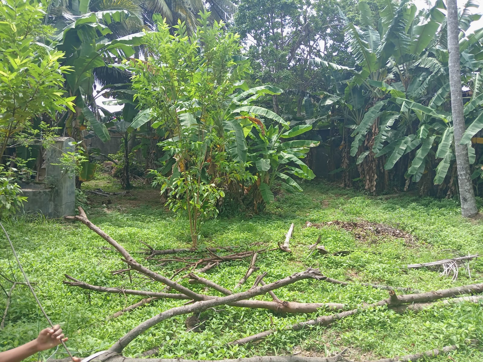 පර්චස් 15ක් වටිනා නේවාසික ඉඩමක් විකිනීමට