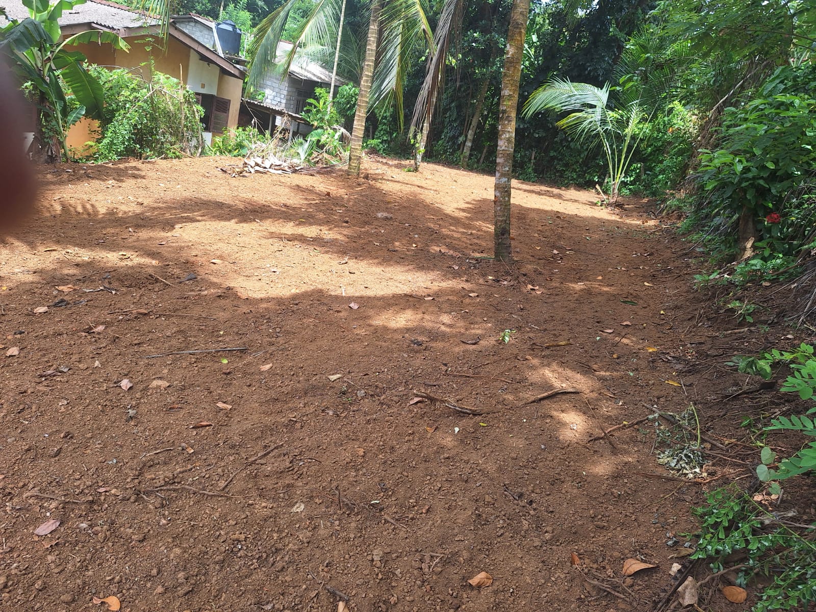 Land for Sale in Homagama