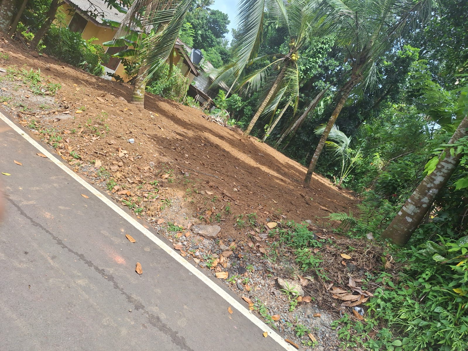 Land for Sale in Homagama