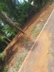 Land for Sale in Homagama