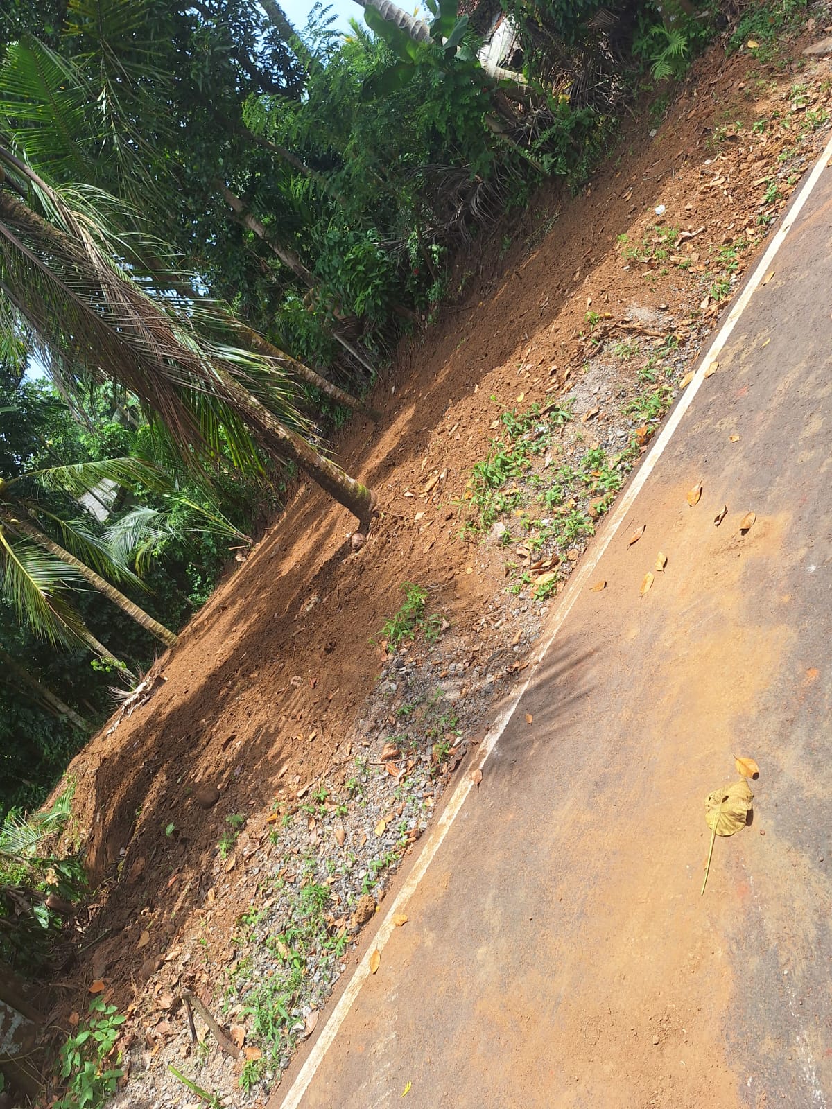 Land for Sale in Homagama