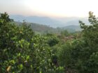 Two Storied House for Sale in Doluwa