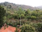 Two Storied House for Sale in Doluwa