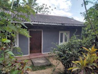 IMG-20260727-WA0017