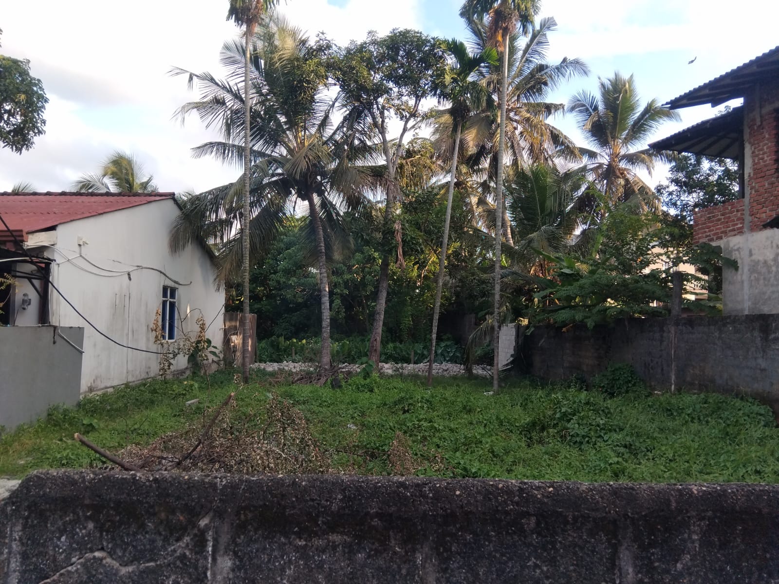 Land for Sale in Kandana