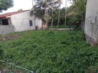 IMG-20260729-WA0003