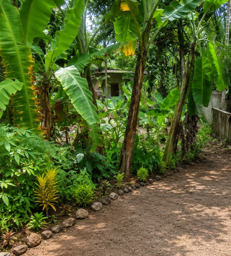PRIME RESIDENTIAL LAND FOR SALE – GAMPAHA