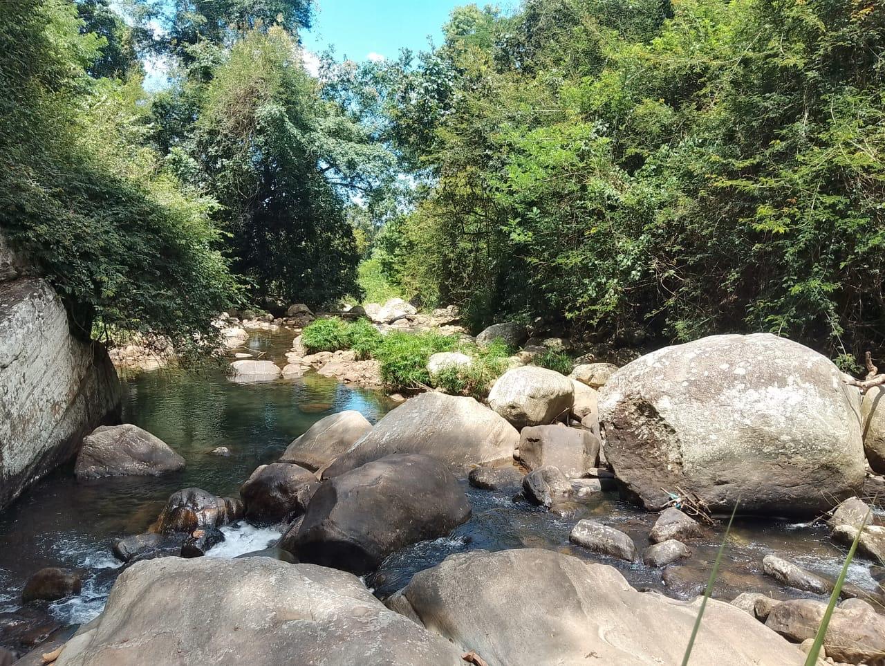 දියලුම ඇල්ල සංචාරක කලාපයට ලගින්ම අගනා ඉඩමක් විකිණීමට