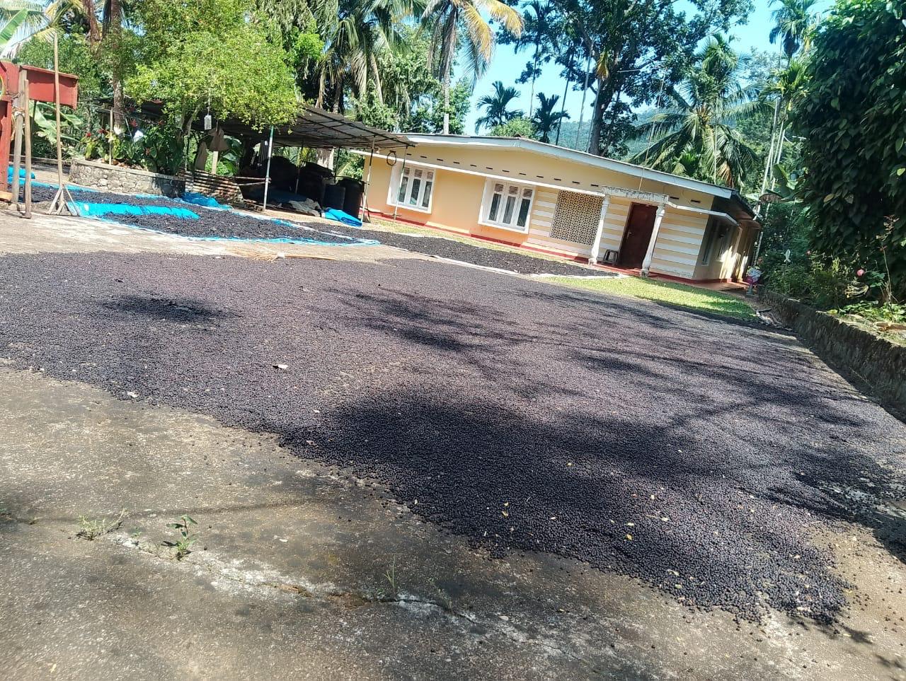 දියලුම ඇල්ල සංචාරක කලාපයට ලගින්ම අගනා ඉඩමක් විකිණීමට