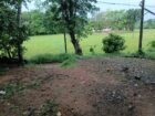 ඉඩමක් විකිණීමට Kapugoda