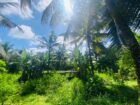 Land for Sale in Galle