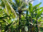 Land for Sale in Galle