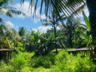 Land for Sale in Galle