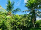Land for Sale in Galle