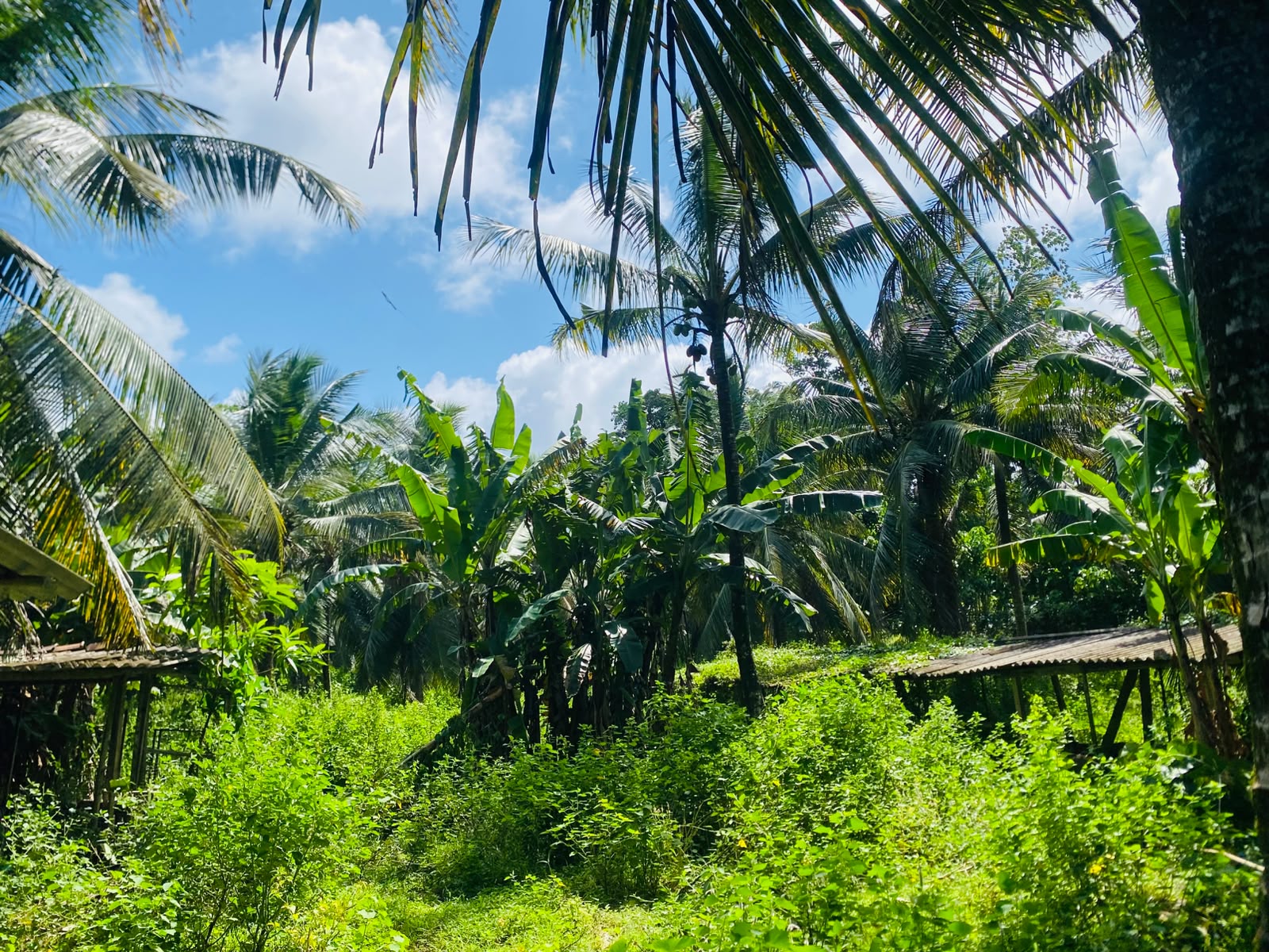 Land for Sale in Galle