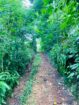 Land for Sale in Galle