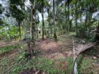 කඩවත- ගණේමුල්ල (වැලිපිල්ලෑව) අසල පර්චස් 15ක වටිනා ඉඩම විකිණීමට
