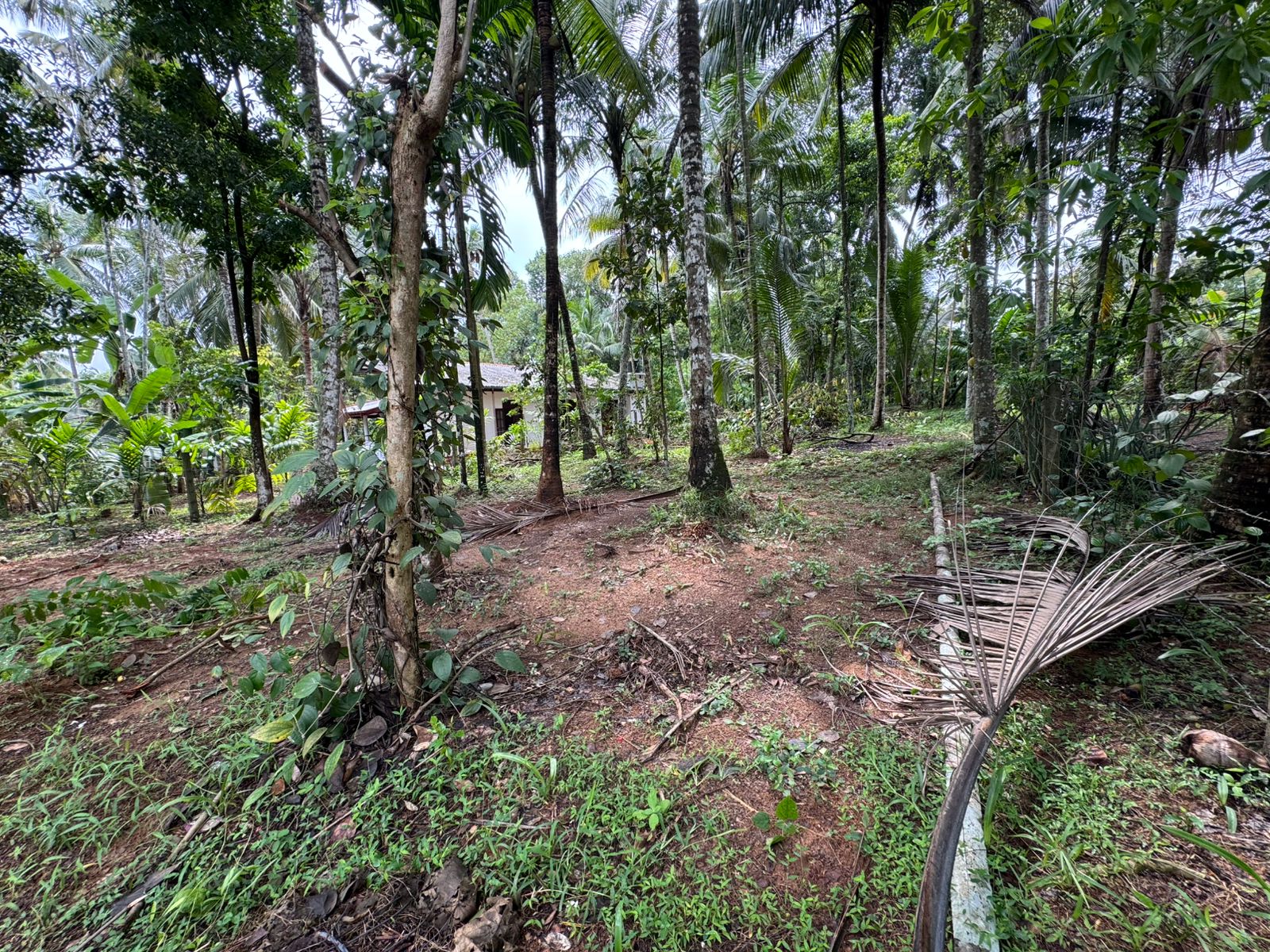 කඩවත- ගණේමුල්ල (වැලිපිල්ලෑව) අසල පර්චස් 15ක වටිනා ඉඩම විකිණීමට